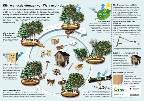 Klimaschützer Wald und Holz