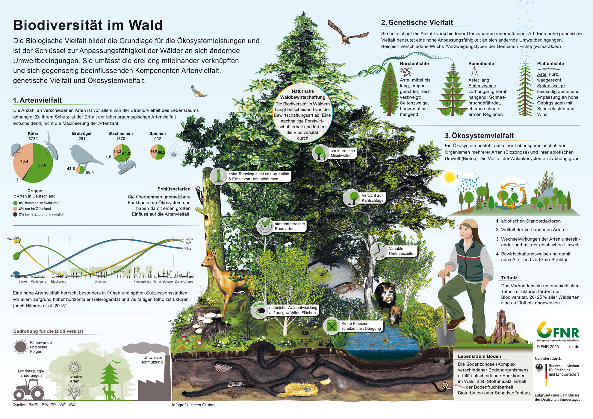 Biodiversität im Wald